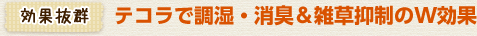 効果抜群 テコラで調湿・消臭＆雑草抑制のW効果